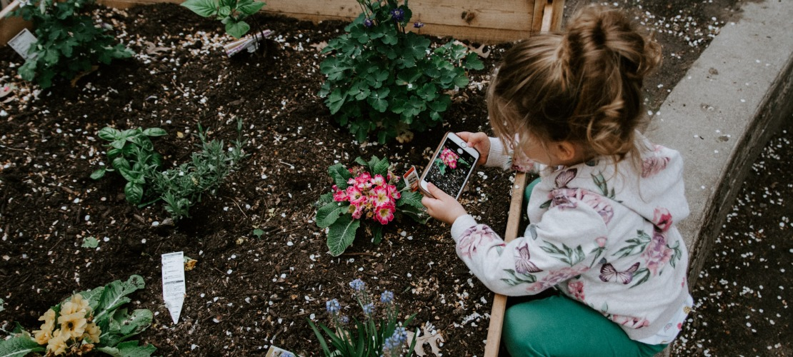 Dziewczynka robiąca zdjęcie smartfonem roślinom w ogrodzie