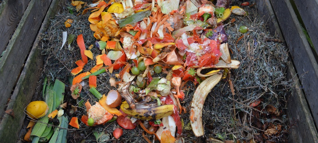 Kompostownik pomagający realizować filozofię zero waste w ogrodzie
