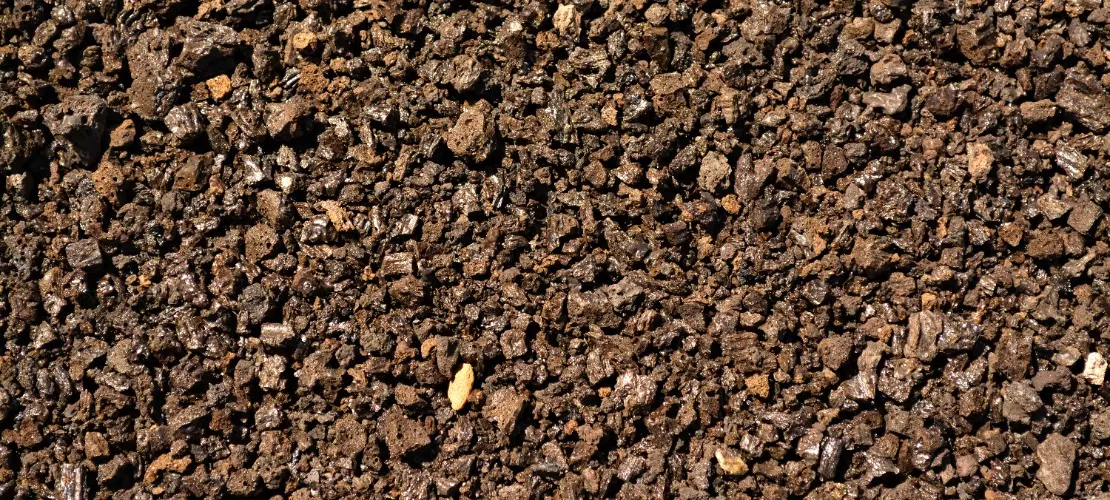 Mikroorganizmy w glebie