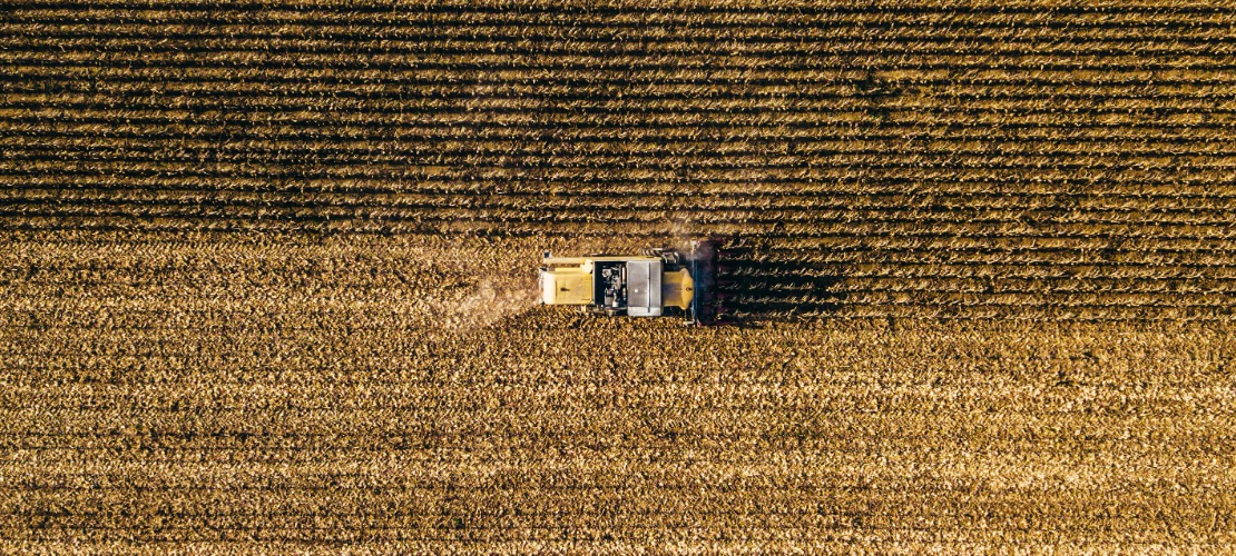 Ujęcie z drona na pole, na którym zastosowano kwas humusowy