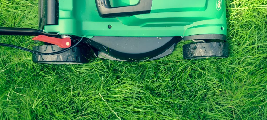 Kosiarka na zielonym trawniku