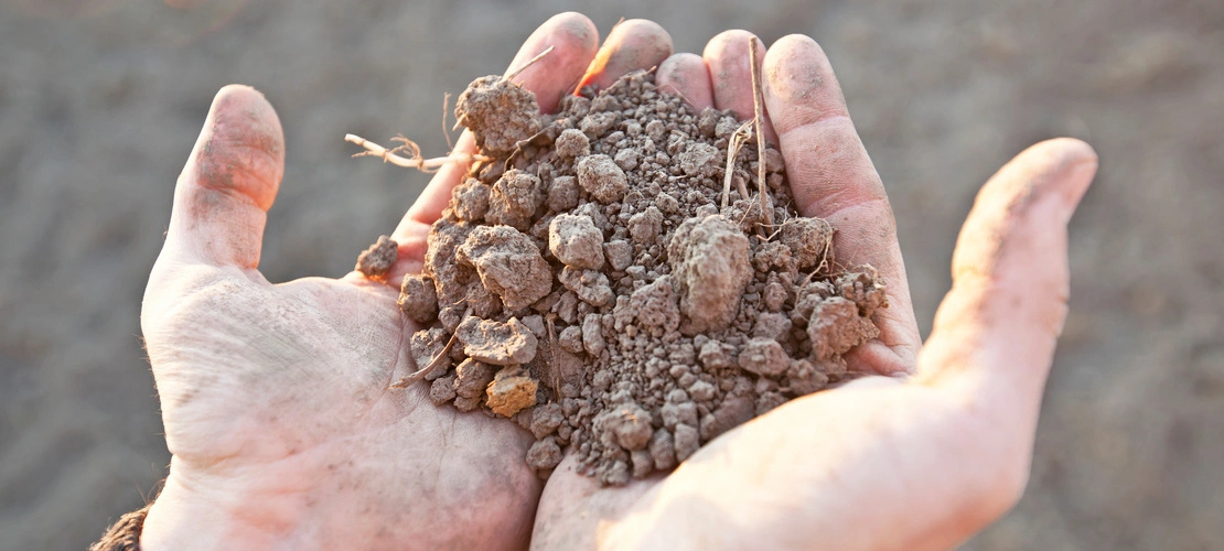 Rolnik trzymający w dłoniach ziemię, erozja gleby